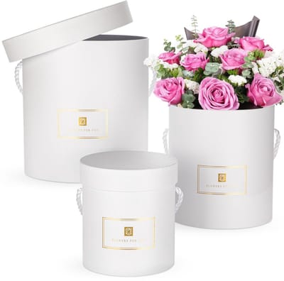 Dailygoods- Geschenkdozen met deksel - Set van 3 ronde dozen - Decoratieve hoedendozen - Handgrepen - Premium karton - Elegant ontwerp