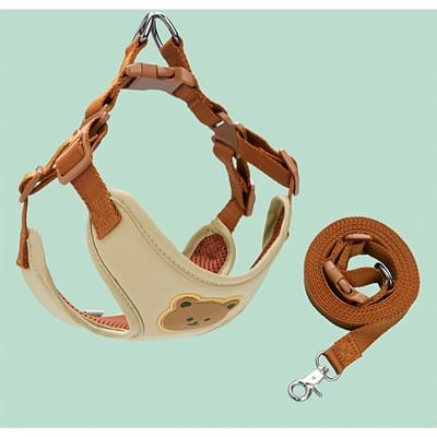 Chic Hondentuigje en Lijn Set Effen Kleur Teddybeer Design, Verstelbare Borstband, Makkelijk Schoon te Maken, Ideaal voor Kleine tot Middelgrote Honden M beige