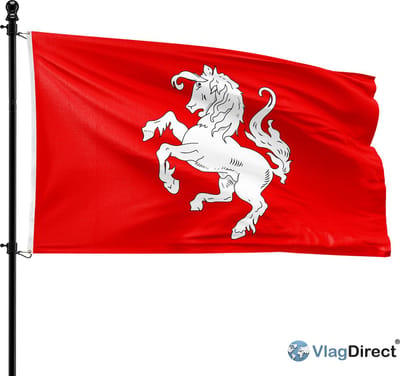 VlagDirect - Twentse vlag - Twente vlag - 90 x 150 cm.