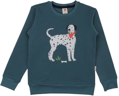 Walkiddy® Kinder Sweatshirt – Jongens & Meisjes – Green serie – Maat 104 – GOTS-gecertificeerd Biologisch Katoen