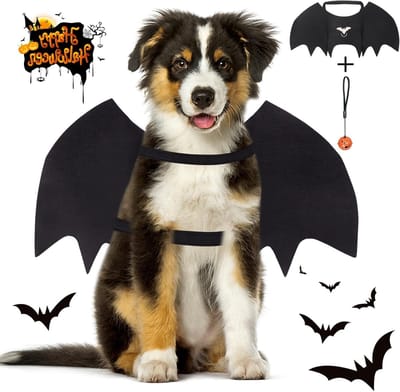 Cap met vleugels voor volwassenen - Perfect voor kostuums, feesten en Halloween