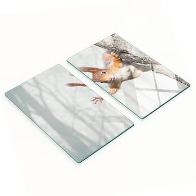 Set van twee decoratieve glazen snijplanken met eekhoornmotief voor in de keuken, 2x30x52 cm
