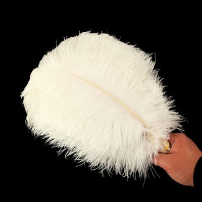 Dailygoods- Struisvogelveren 30-35 cm - 10 Stuks - Natuurlijke Knutselveren - Woondecoratie - Dromenvanger-accessoires - Diverse Kleuren - Decoratieve Veren