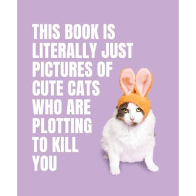 This Book Is Literally Just Pictures Of Cute Cats Who Are Plotting To Kill You - This Book Is