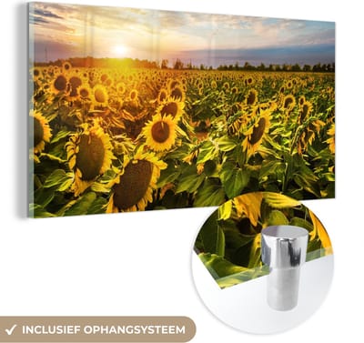 MuchoWow® Glasschilderij 40x20 cm - Schilderij acrylglas - Bloemen - Zonnebloem - Lucht - Foto op glas - Schilderijen