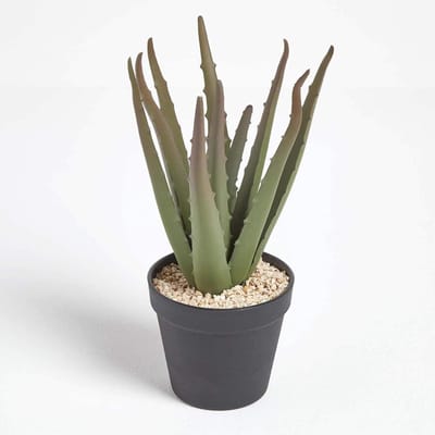 Kunstmatige Aloë Vera - Nep Vetplant - Binnen Decoratie - UV-Behandeld Kleurbehoud - 30cm Hoog - Groen