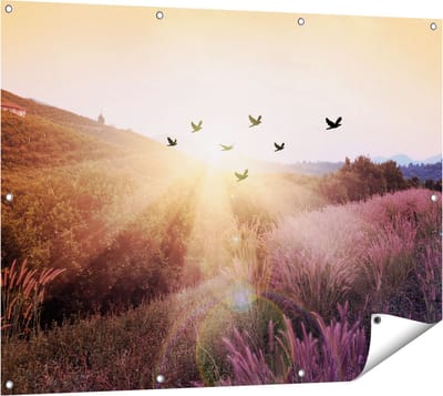 Gards Tuinposter Silhouet Zwerm Vogels bij Zonsondergang - 120x90 cm - Tuindoek - Tuindecoratie - Wanddecoratie buiten - Tuinschilderij
