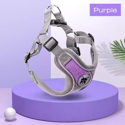 Honden Tuigje Verstelbaar Huisdier Tuigje Vest Voor Kleine Grote Hond Kat Reflecterend Gaas Puppy Kat Borstband Hond Accessoires (purple,XS(2-4kg)) paars