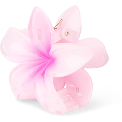 Sui Ava Plumeria Hawaii Big Pink 1 st
