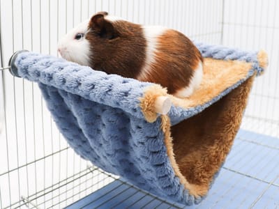 Winterwarme muizenhangmat, dubbellaags hangend vogelnestbed met warme wol, vogelkooistandaard, verborgen grottent, slaapkooiaccessoires geschikt voor muizen, cavia's en inktvissen (blauw)