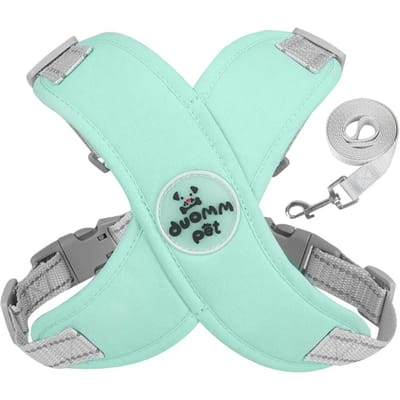 Ensemble Harnais et Laisse pour Chien X Sangle de Poitrine Respirante pour Animal de Compagnie Gilet Harnais Réfléchissant pour Bouledogue Français Pour Chiens de Petite et Moyenne Taille Collier pour Chiots (green,L (Pet 9-15kg)) vert