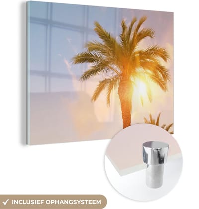 MuchoWow® Glasschilderij 40x30 cm - Schilderij acrylglas - Palmboom - Zomer - Zon - Tropical - Foto op glas - Schilderijen