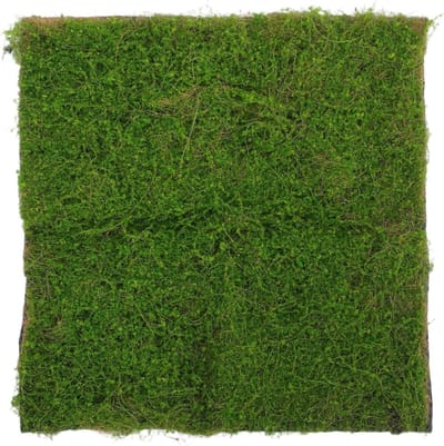 Kunstgrasmat - Moskleed - Decoratie projecten - Zeer realistisch - 50x50 cm - Groen
