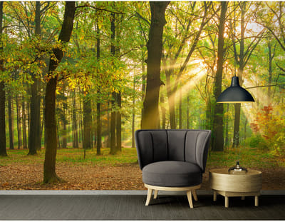 Fotobehang OakForest DD114984 A.S. Création XXL 5 | Fotobehang