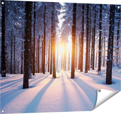 Gards Tuinposter Bos met Sneeuw tijdens de Zonsondergang - 100x80 cm - Tuindoek - Tuindecoratie - Wanddecoratie buiten - Tuinschilderij