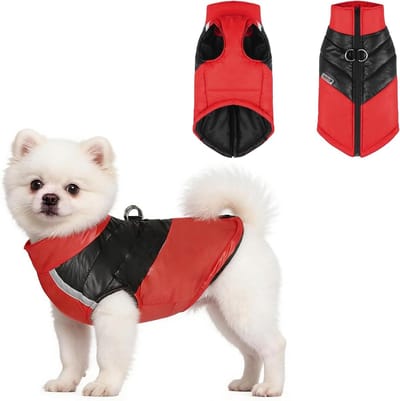 Winterjas voor Honden, Winddicht en Waterdicht, 2-in-1 Ontwerp, Geschikt voor Kleine Honden en Puppies, Met Reflecterende Strepen en Warmte Isolatie