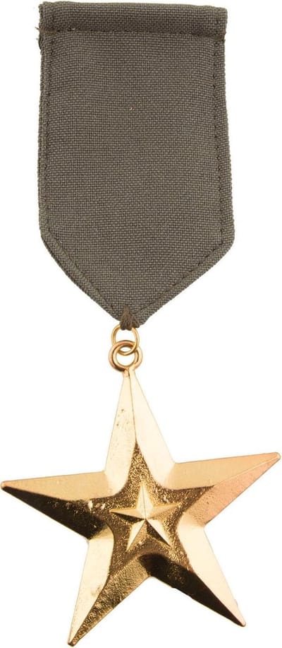 Medaille leger onderscheiding ster
