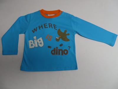 T shirt - Lange mouw - Jongens - Dino 's - Blauw / oranje - 12 maand 80