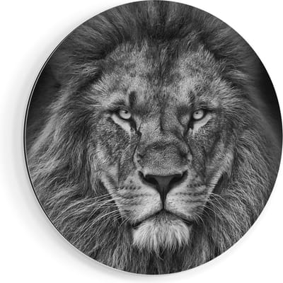 Artaza Dibond Muurcirkel Leeuw - Leeuwenkop - Ø 70 cm - Wandcirkel - Rond Schilderij - Voor Binnen en Buiten