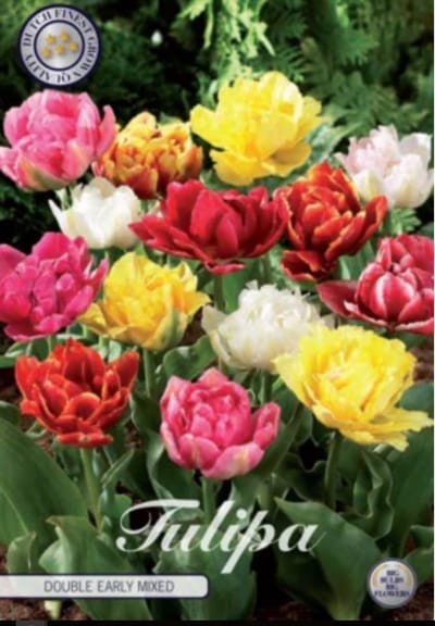 Dubbel Early Mixed Tulpenbollen 10 stuks Bolmaat 12+