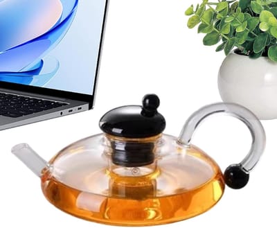 Glazen waterkoker - Theepot - Thee zetten - Hittebestendig glas - 600 ml capaciteit - Transparant