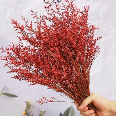 Natuurlijke Gedroogde Lover Grass Boeket, 43 cm Verse Caspia Bellidifolium Zeelavendel en Baby's Adem Bloemen voor Bruiloft, Verjaardag en Thuisdecoratie