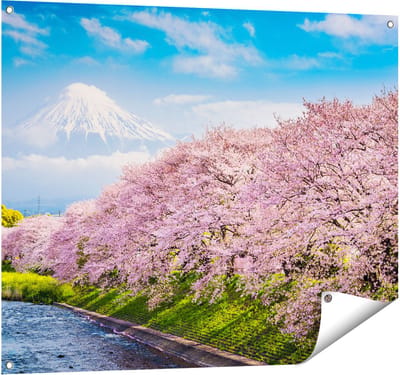 Gards Tuinposter Roze Bloesembomen bij de Fuji Berg - 100x80 cm - Tuindoek - Tuindecoratie - Wanddecoratie buiten - Tuinschilderij