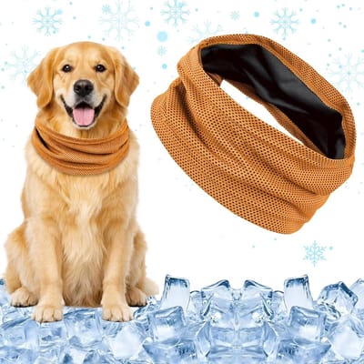 Honden Koelband - Honden Bandana - Hitte Bescherming - Ademend Koel Garen - 55 cm - Oranje