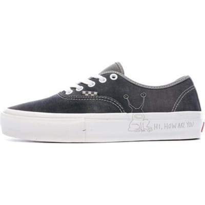 Sneakers Vans Baskets Skate Authentic daim