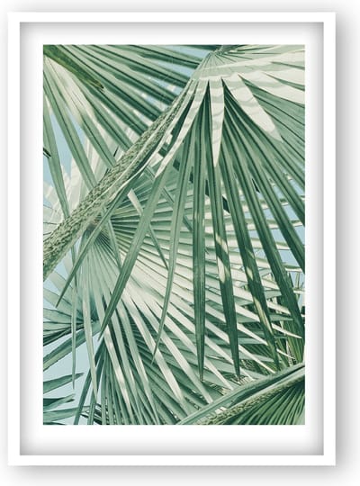 Goldbuch - Your Gallery - Galerij zelf samenstellen - Palm (13x18 cm)
