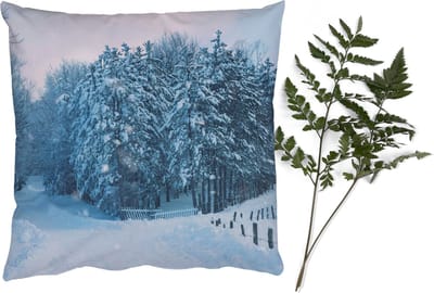 Sierkussens - Kussentjes Woonkamer - 40x40 cm - Bos - Sneeuw - Winter - Kerstversiering - Kerstdecoratie voor binnen - Woonkamer