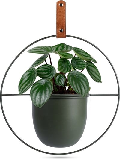 Hangpot Metaal Groen 30x30 cm - Hangende Plantenmand - Bloempot - Plantenhanger - Plantenstandaard - Plantenmand - voor Planten - Hangplant Houder