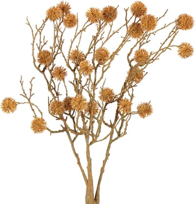 Decoratieve tak van amberboom, boomvruchten, decoratief okerbruin, 48c