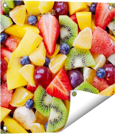 Gards Tuinposter Diverse Kleurrijke Fruit Achtergrond - 50x50 cm - Tuindoek - Tuindecoratie - Wanddecoratie buiten - Tuinschilderij
