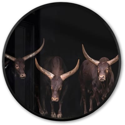 Poster in lijst Rond - Fotolijst 60x60 cm - Posters - Stieren - Dieren - Bruin - Donker - Ronde posterlijst zwart - Decoratie - Wanddecoratie woonkamer - Muurdecoratie slaapkamer