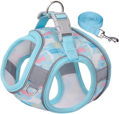 Hondentuigje voor alle weersomstandigheden, mesh reflecterend, huisdierborstharnas, zomer ademend mesh hondenriem, Easy Walk hondenharnas voor wandelen, hardlopen en training, Blauw, XXS