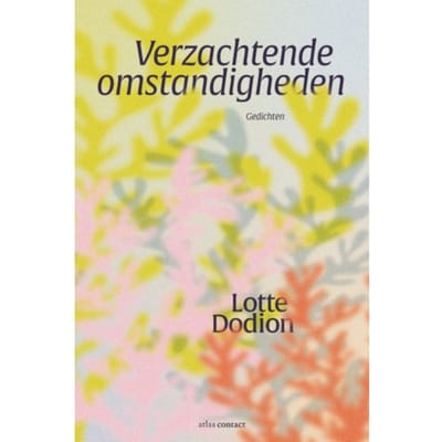 Verzachtende Omstandigheden - Lotte Dodion