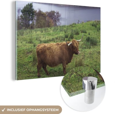 MuchoWow® Glasschilderij 120x80 cm - Schilderij acrylglas - Schotse Hooglander - Gras - Water -Dieren - Foto op glas - Schilderijen