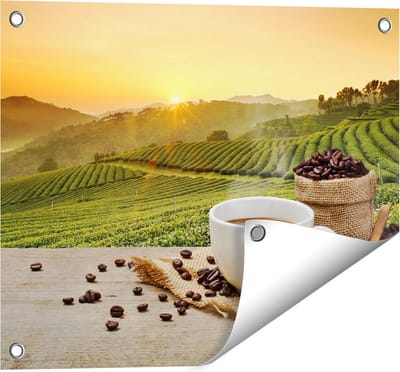 Gards Tuinposter Kopje Koffie op een Plantage Achtergrond6 - 50x40 cm - Tuindoek - Tuindecoratie - Wanddecoratie buiten - Tuinschilderij