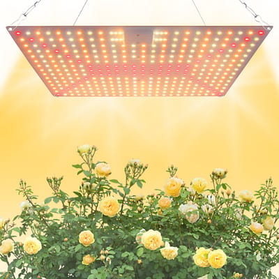 MUPOO Groeilamp Planten – Kweeklamp LED Full Spectrum 45W (240 LED’s) – Voor Binnenplanten, Groenten & Bloemen – Met Daisy Chain Functie, Energiezuinig & Volledig Spectrum