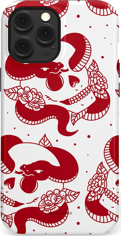 Casetastic Hoesje Geschikt voor Apple iPhone 12 Pro Max Magsafe - Stijlvolle Beschermende Duo-layer Case - Beet van de nacht