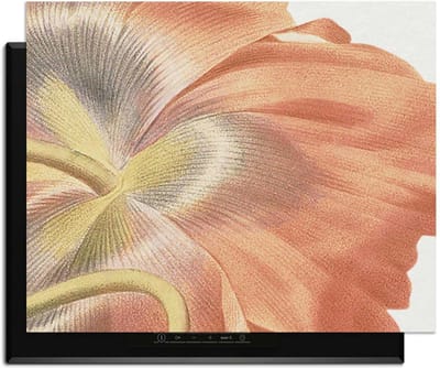 KitchenArt - Poppy Bloom – Inductie Beschermer - 76x51.5 cm - Kookplaat Beschermer - Luxe Afdekplaat Inductieplaat - Anti-slip & Oprolbaar - Beschermmat Inductiekookplaat