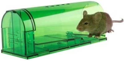 Diervriendelijke Muizenval Groen; per stuk