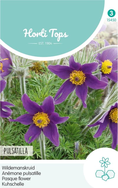 Hortitops zaden - Wildemanskruid Bloemzaad - Pulsatilla Vulgaris