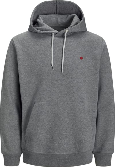 JACK&JONES - RDDKALID HOOD SWEAT L/S NOOS - Heren - Sweaters