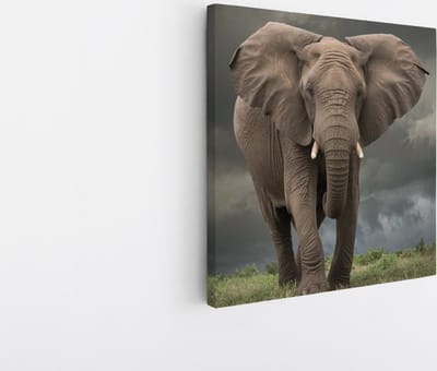Saammp Canvas Schilderij - Olifant tijdens Storm - Afrika - Dieren - 20x20 - Foto op canvas - Wanddecoratie - muurdecoratie Woonkamer - Slaapkamer decoratie - Canvas Print