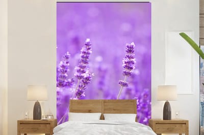 Behang - Fotobehang Lavendel - Close-up - Bloemen - Paars - Breedte 170 cm x hoogte 260 cm