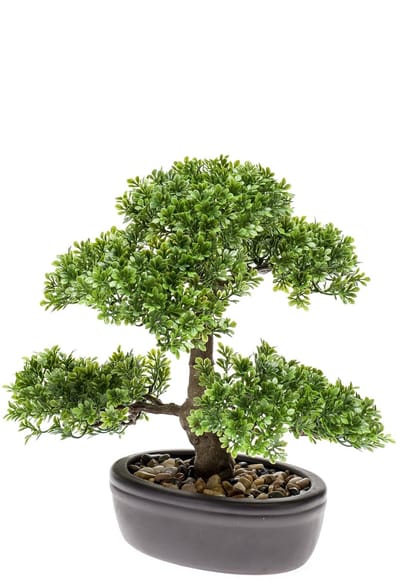 Emerald - Kunstplant Bonsai Ficus mini 32cm - Kunstplant voor binnen