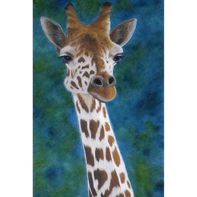 5D DIY Diamond schilderij Giraffe borduurwerk kruissteek Strass mozaïek Home Decor 20X30CM gray