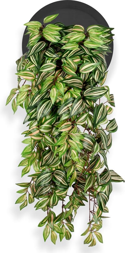 Kunstplant Tradescantia in Wally Ø30 cm zwart - HTT Decorations kunstplanten